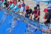 六爻测试2025年全国水生生物同步增殖放流活动在福建举行