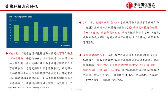 【棉花(🍾)纺谈】供应端阶段性缩量 疆棉基差坚挺(💈)